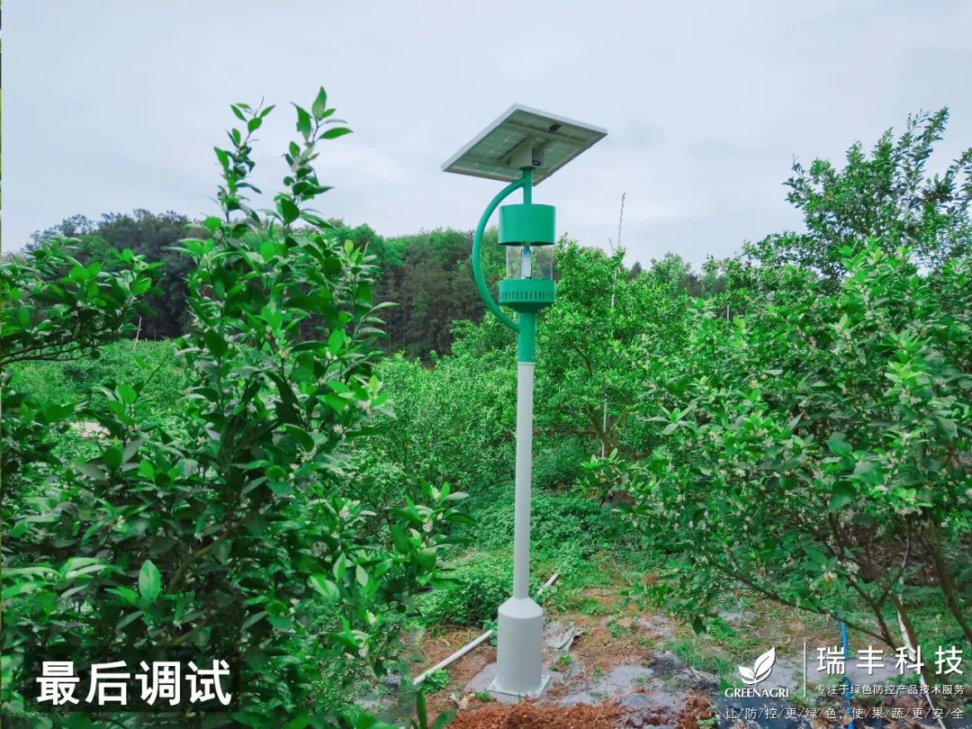 瑞丰智能杀虫灯