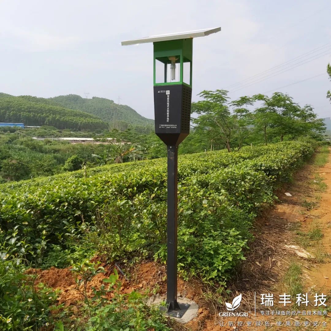 瑞丰智能风吸式杀虫灯