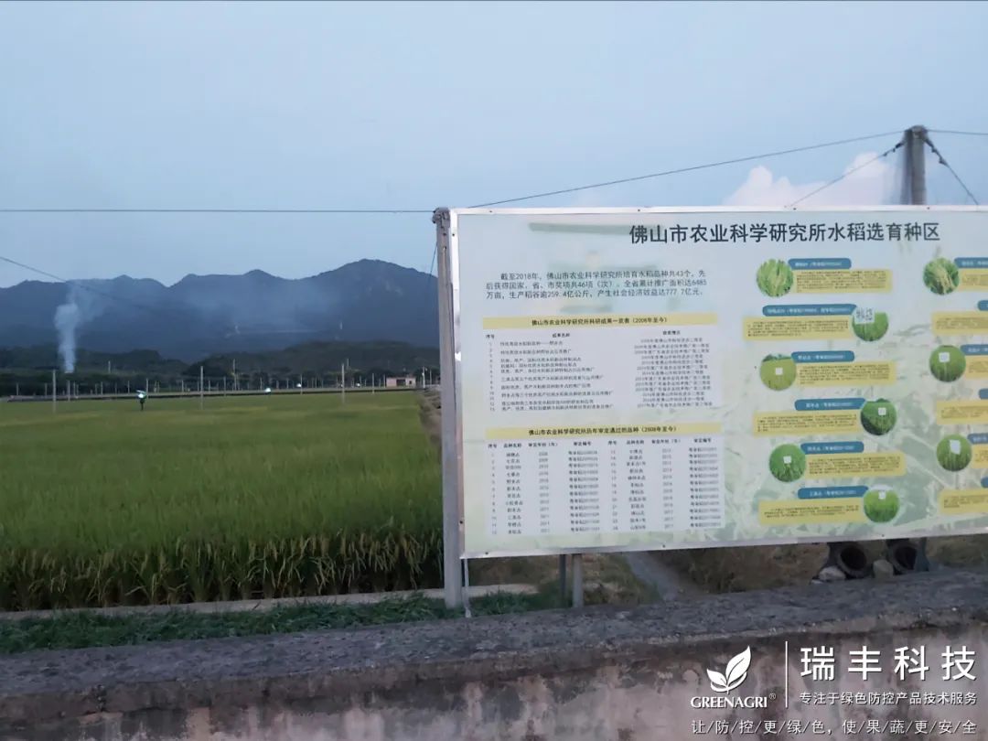 瑞丰智能